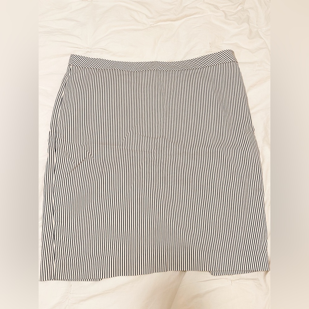 Ann Taylor Pinstriped Pencil Skirt (Size 16)